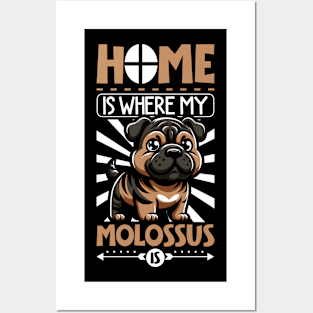 Home is with my Molossus of Epirus Posters and Art